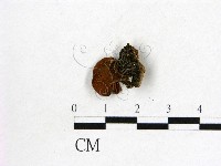 登錄號:F0000497藏品圖，第3張