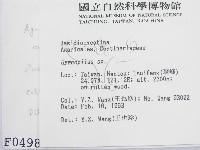 登錄號:F0000498藏品圖，第2張
