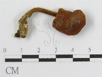 登錄號:F0000498藏品圖，第3張