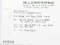 登錄號:F0000500藏品圖，第2張