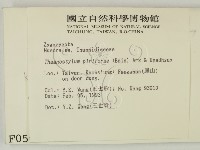 登錄號:F0000502藏品圖，第2張
