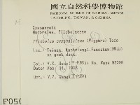 登錄號:F0000504藏品圖，第2張