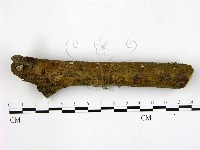 登錄號:F0000505藏品圖，第1張