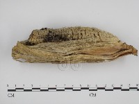 登錄號:F0000506藏品圖，第1張