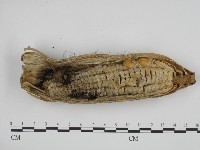 登錄號:F0000506藏品圖，第4張