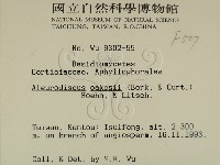 登錄號:F0000507藏品圖，第2張