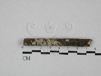 登錄號:F0000507藏品圖，第1張