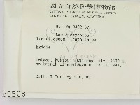 登錄號:F0000508藏品圖，第2張