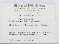 登錄號:F0000511藏品圖，第2張