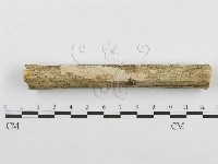 登錄號:F0000511藏品圖，第1張