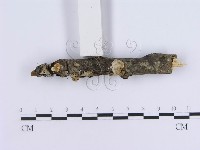 登錄號:F0000512藏品圖，第5張
