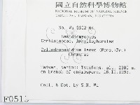 登錄號:F0000513藏品圖，第2張