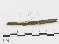 登錄號:F0000513藏品圖，第1張