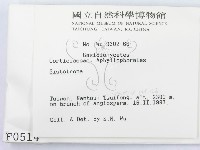 登錄號:F0000514藏品圖，第2張