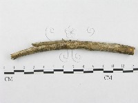 登錄號:F0000514藏品圖，第1張
