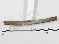 登錄號:F0000514藏品圖，第3張