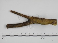 登錄號:F0000515藏品圖，第1張