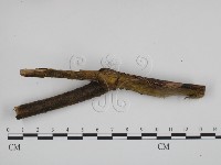登錄號:F0000515藏品圖，第3張