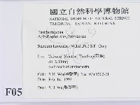 登錄號:F0000516藏品圖，第2張