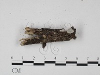 登錄號:F0000518藏品圖，第3張