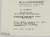 登錄號:F0000519藏品圖，第2張