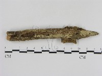 登錄號:F0000519藏品圖，第1張