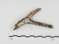 登錄號:F0000520藏品圖，第1張
