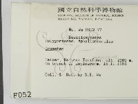 栓菌屬藏品圖，第2張