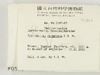 登錄號:F0000523藏品圖，第2張