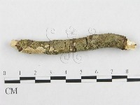 登錄號:F0000524藏品圖，第1張