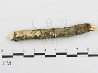 登錄號:F0000524藏品圖，第3張