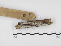 登錄號:F0000525藏品圖，第3張