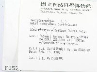 登錄號:F0000526藏品圖，第2張