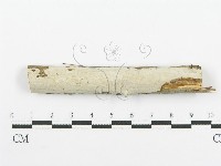 登錄號:F0000526藏品圖，第1張