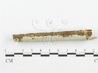 登錄號:F0000526藏品圖，第3張