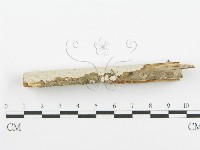 登錄號:F0000526藏品圖，第5張