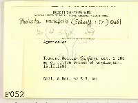 登錄號:F0000527藏品圖，第2張