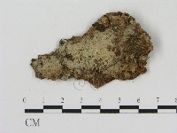 登錄號:F0000528藏品圖，第1張