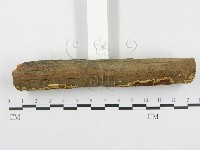 登錄號:F0000529藏品圖，第3張