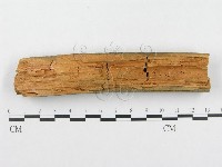 登錄號:F0000529藏品圖，第4張