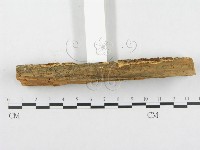 登錄號:F0000529藏品圖，第5張