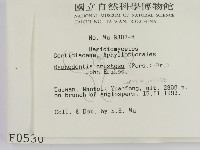 登錄號:F0000530藏品圖，第2張