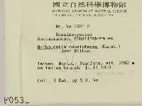 登錄號:F0000531藏品圖，第2張