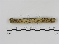 登錄號:F0000531藏品圖，第1張