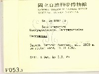 花耳屬藏品圖，第2張