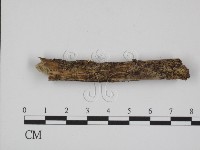 登錄號:F0000535藏品圖，第1張
