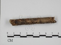登錄號:F0000535藏品圖，第3張