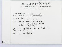 登錄號:F0000536藏品圖，第2張