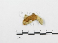 登錄號:F0000536藏品圖，第1張