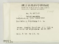 登錄號:F0000538藏品圖，第2張